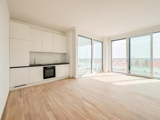 Apartment mieten in Donaustadt, Wien