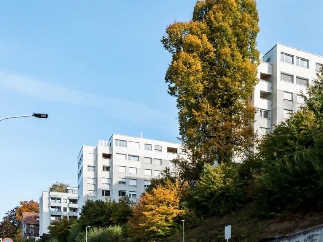 Apartment mieten in Schwarzenbach (SG), St. Gallen