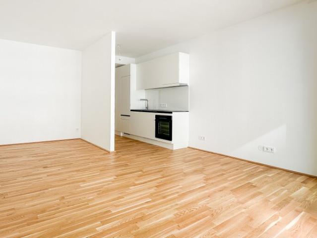 Apartment mieten in Donaustadt, Wien