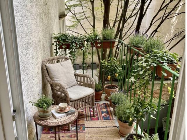 Apartment mieten in KG Alsergrund, Wien