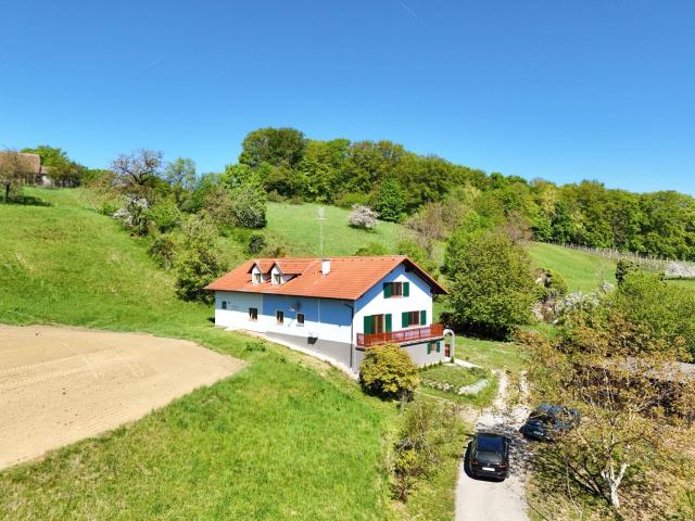 Haus kaufen in Fürstenfeld, Steiermark