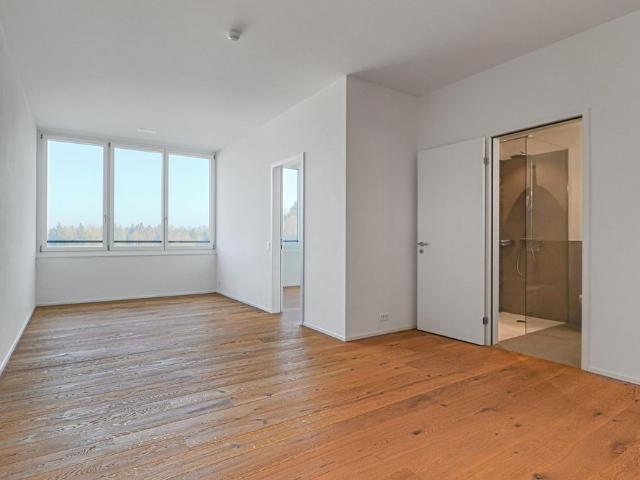 Apartment mieten in Sursee, Lü