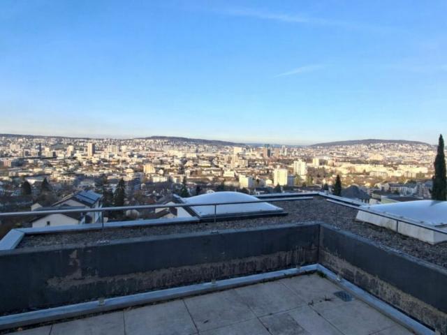 Terrassenwohnung kaufen in Einigen, Zürich
