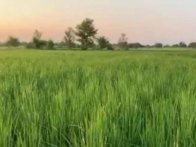 Land for sale in Khushab, Islamabad Capital Territory