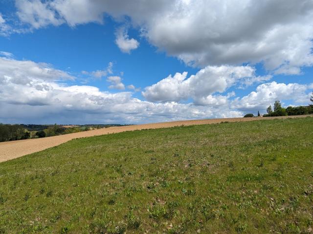 Terrain vente à Toulouse, Nailloux