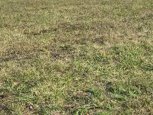 Terrain vente à Châtellerault, Naintré