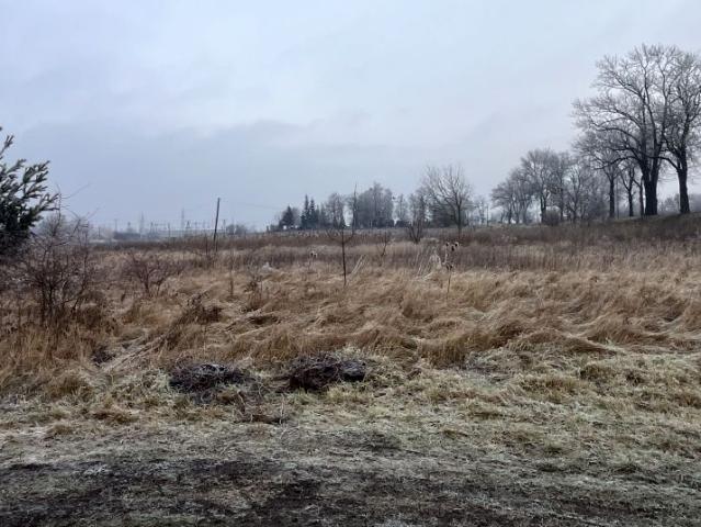 Grunt na sprzedaż w Kcynia, Kujawsko-pomorskie