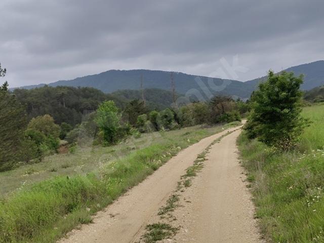 Nallihan, Ankara içerisinde satılık Arsa