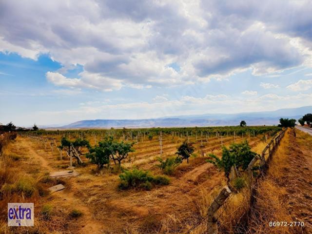 Nallihan, Ankara içerisinde satılık mülk