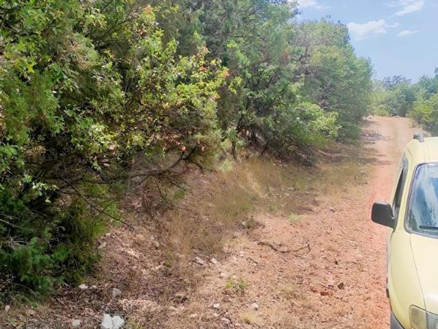 Nallihan, Ankara içerisinde satılık Arsa