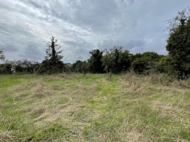 Terrain vente à Fontenay-le-Comte, Nalliers