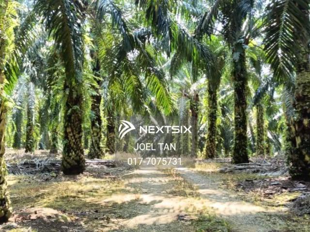 Residential House for sale in Johore Bahru, Johor