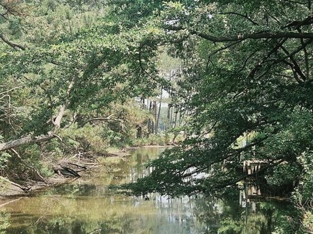 Land for sale in Virginia