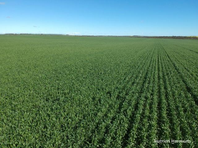 Acreage for sale in Holmwood, Western Australia