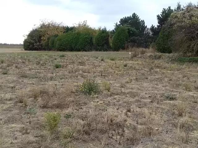 Terrain vente à Fontainebleau, Nanteau-sur-lunain