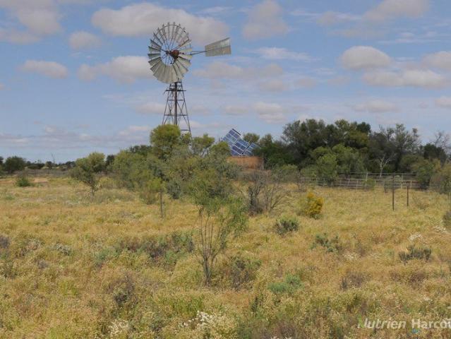 Property for sale in Wanaaring, New South Wales