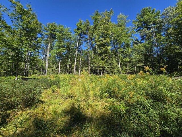 Land for sale in Naples, Maine