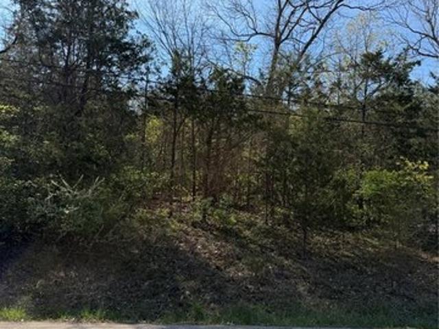 Land for sale in Bonne Terre, Missouri