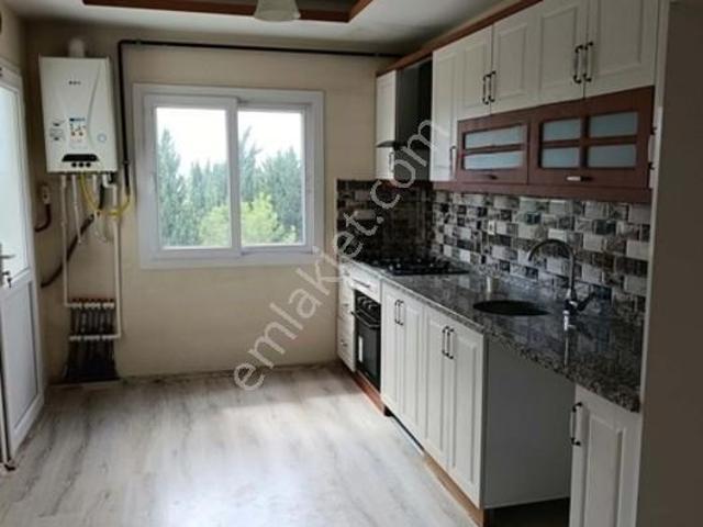 Ceyhan içerisinde kiralık mülk