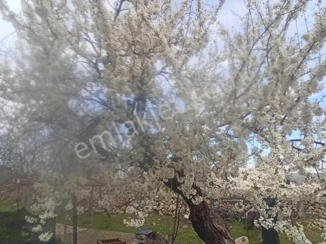 Besni, Adiyaman içerisinde satılık Villa