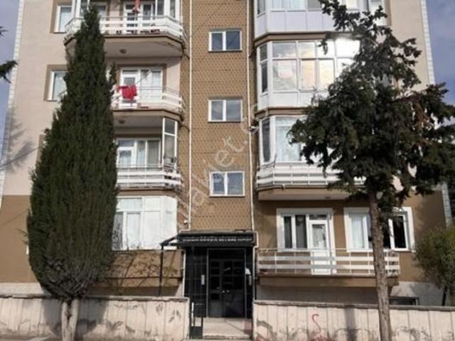 Yeni, Merzifon içerisinde kiralık mülk