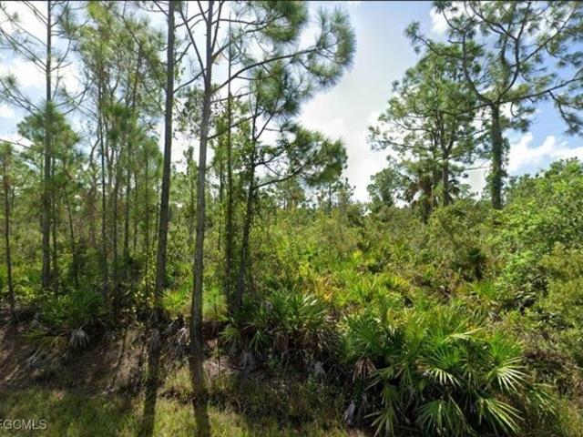 Land for sale in Punta Gorda