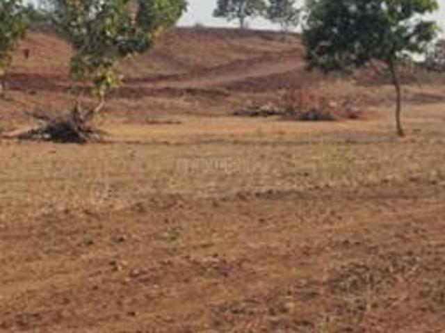 Farm for sale in Narayankhed, Telangana