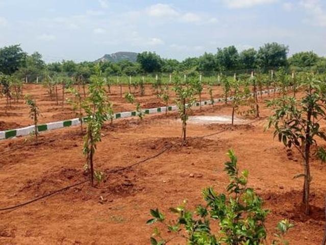 Land for sale in Narayankhed, Telangana