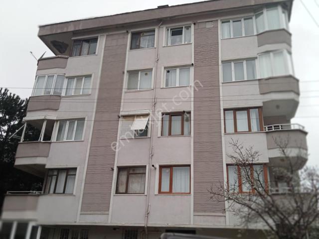 Çinarcik, Yalova içerisinde satılık mülk