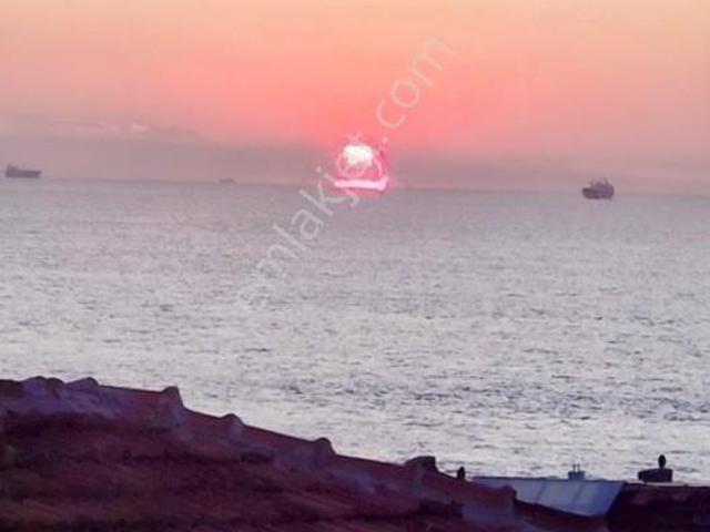 Çinarcik, Yalova içerisinde satılık mülk