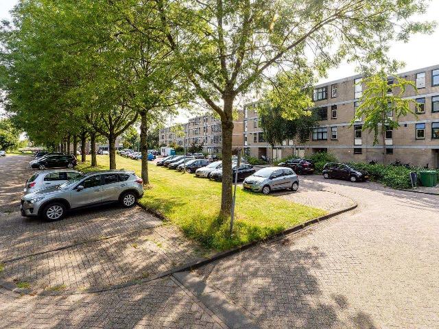 Woning te huur in Haarlem, Frans Halsbuurt