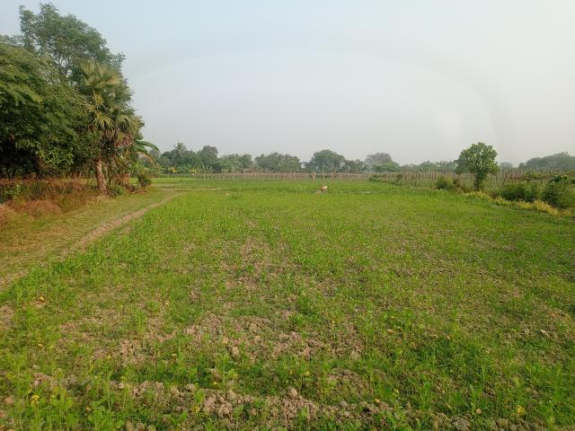 Land for sale in Calcutta, West Bengal
