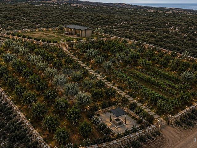 Silifke, Mersin içerisinde satılık Arsa