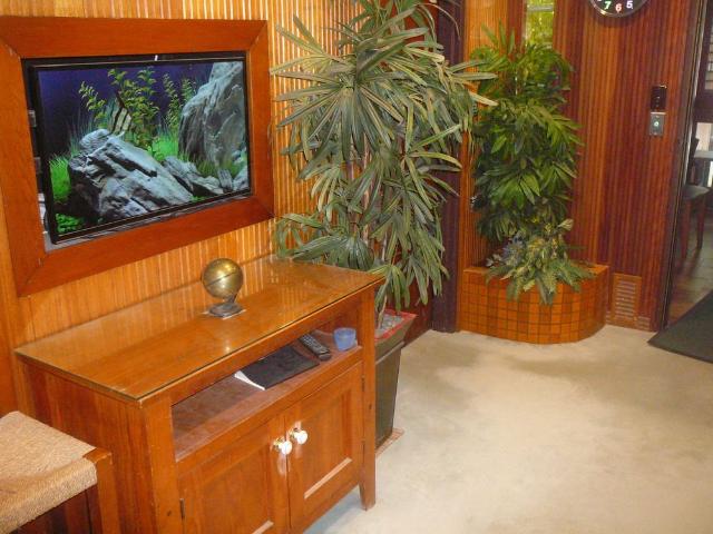 House for rent in Sydney CBD, Sydney