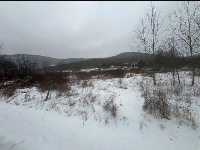 Land for sale in Harpersfield, New York