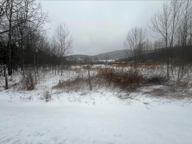 Land for sale in Harpersfield, New York