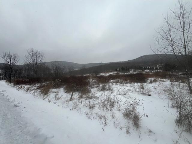 Land for sale in Harpersfield, New York
