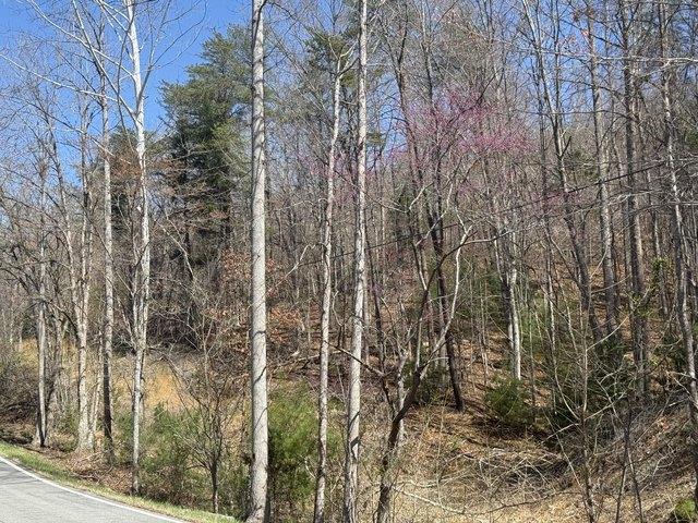Land for sale in Virginia