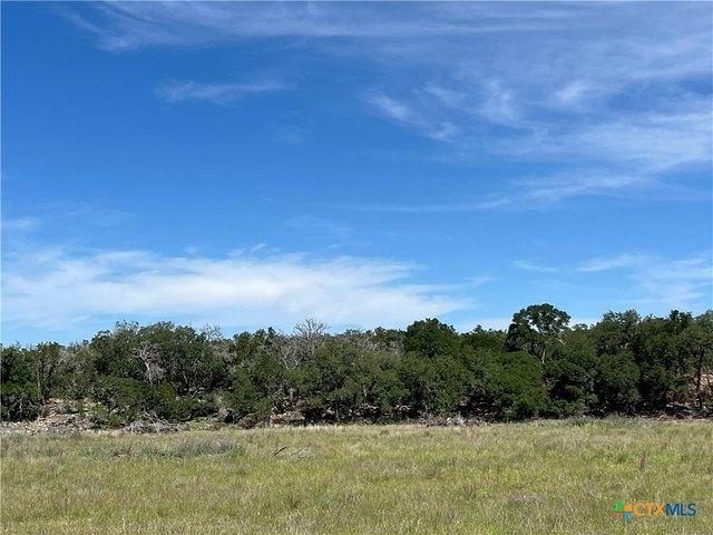Farm for sale in Blanco, Texas