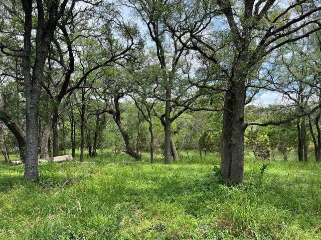 Farm for sale in Blanco, Texas