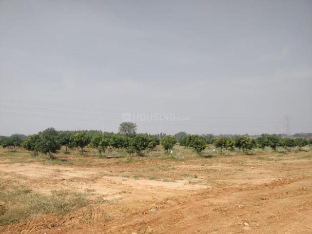 Land for sale in Sitarampur, Narsapur mandal