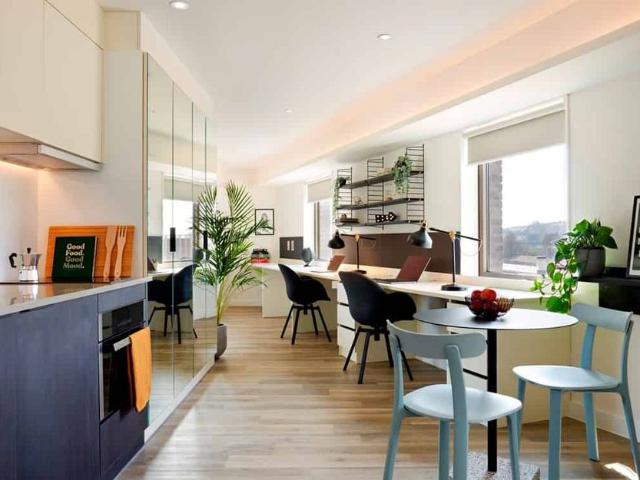 Studio for rent in Hollingdean, Brighton & Hove