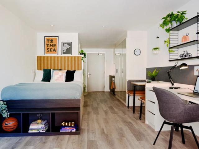 Studio for rent in Hollingdean, Brighton & Hove