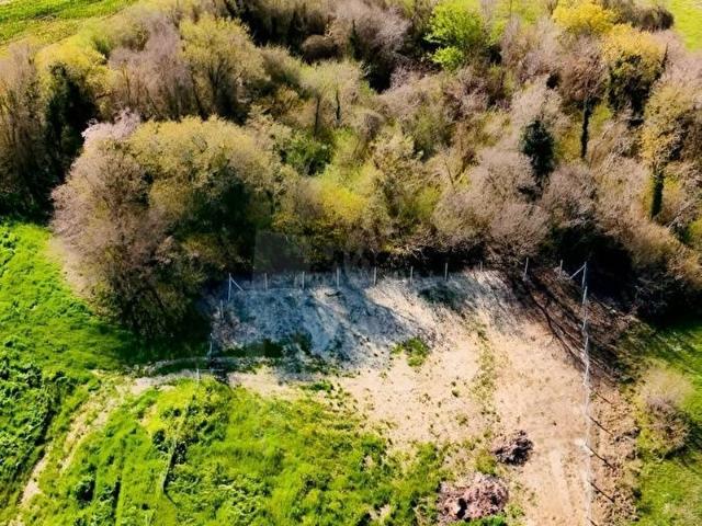 Çatalca, İstanbul içerisinde satılık Arsa