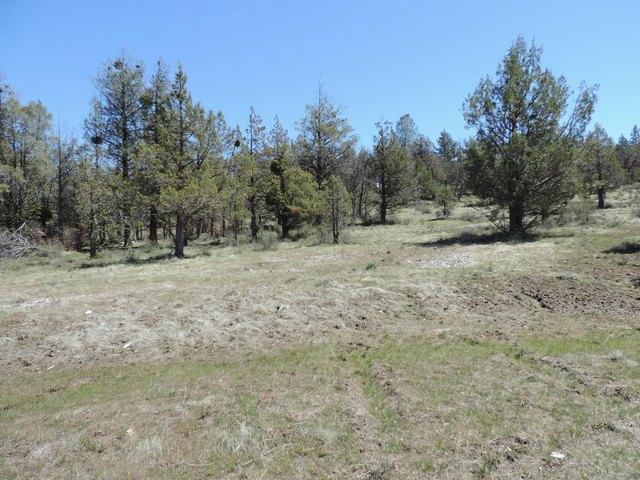Land for sale in Shasta, California