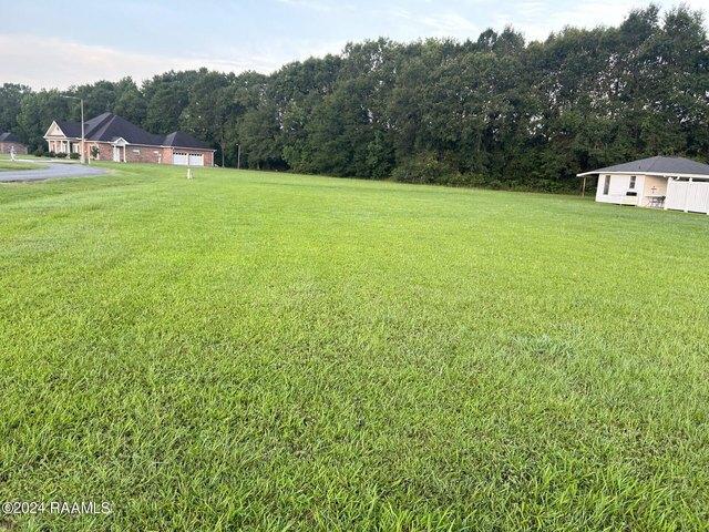 Land for sale in Evangeline, Louisiana