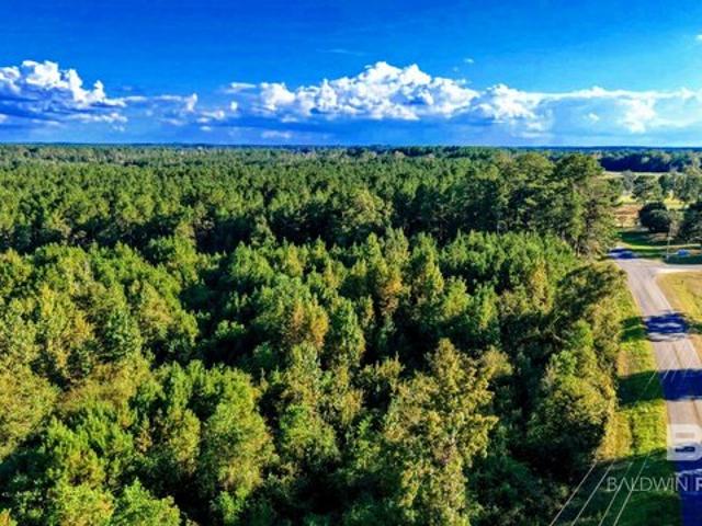 Land for sale in Millry, Washington County