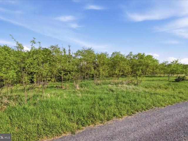 Land for sale in Romney, West Virginia