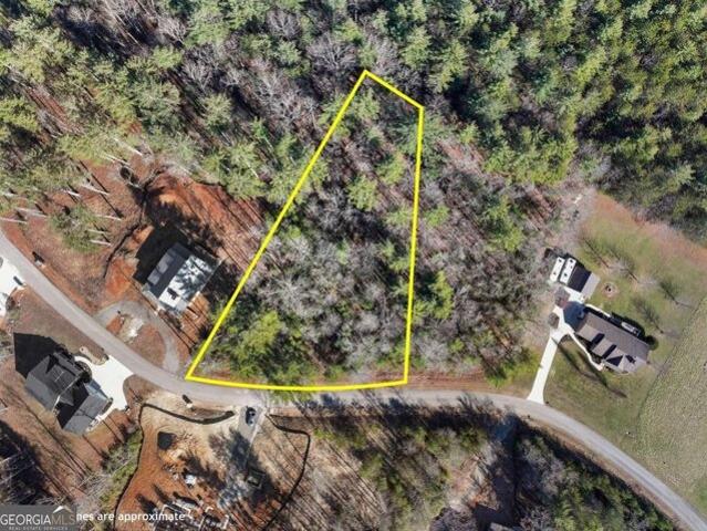 Land for sale in Blairsville
