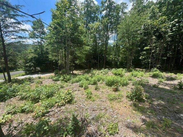 Land for sale in Blairsville